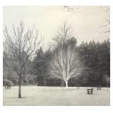Lawn, Hall Place, England Framed Platinum Garden Photograph Print