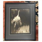 Black and White Framed Photographic Print by Josephine Sacabo