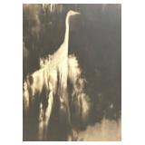 Black and White Framed Photographic Print by Josephine Sacabo