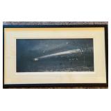 Framed Photographic Print by Paula DeCosse