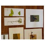 Collection of Original Unframed Watercolor Paintings by Adelina