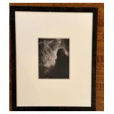 Rodin by Eduard Steichen