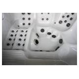 NEW Platinum Spas Premium Range Maximus 8 Person Hot Tub MSRP $24,999