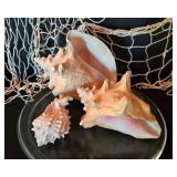 Fun Seaside Decor
