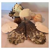 Natural Seashell and Nautical Decor