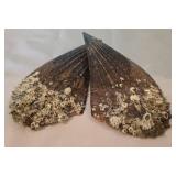 Natural Seashell and Nautical Decor