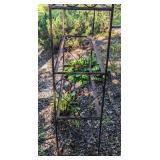 Decorative Iron Garden Arch