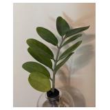 Live Trends Plant Clipping Vase