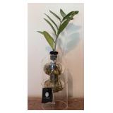 Live Trends Plant Clipping Vase