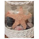 Jars of Pretty Seashells