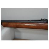 Marlin Model 60 .22 LR Semi-Auto Rifle
