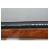 Marlin Model 60 .22 LR Semi-Auto Rifle