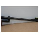 760 Pumpmaster BB Gun