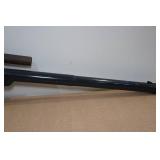 Daisy BB Gun