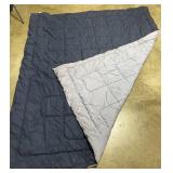 Navy and Sky Blue Reversible Lightweight Comforter - 103"x88" - 2 Throw Pillows included