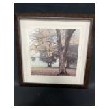 Framed & Matted Photo a Fall Scene Inc Trees & Leaves