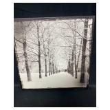 16" x 16" Light Up Winter Tree Landscape Canvas (batteries not inc)