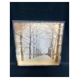 16" x 16" Light Up Winter Tree Landscape Canvas (batteries not inc)