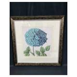 Framed & Matted Print/Picture of a Hydrangea