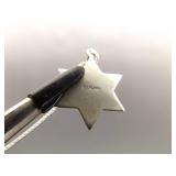 .925 Sterling Silver Star of David Torah Pendant Necklace