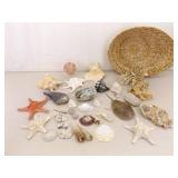 Large Basket of Unique Shells, Corals, Fossils, etc.