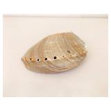 Large Basket of Unique Shells, Corals, Fossils, etc.