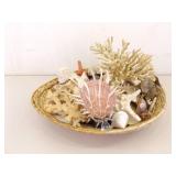 Large Basket of Unique Shells, Corals, Fossils, etc.