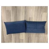 2 Pillows with Blue Removable Stearns & Foster cases