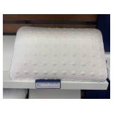 2 Pillows- Tempur pedic & Stearns & Foster