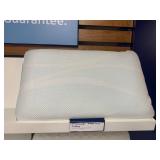 2 Pillows- Tempur pedic & Stearns & Foster