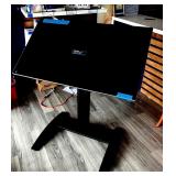 Elo Touch Screen TV on adjustable stand