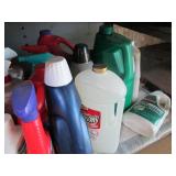 Lot of household cleaners...