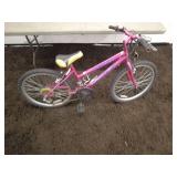 Pacific Wanderer 24-Inch Girl