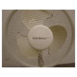 Cool-Breeze Oscillating Standing Fan