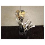 Golf Club Set with T-REX Golf Bag