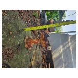 Miniature Cast Iron Birdbath