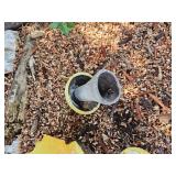 Ceramic Mushroom Patch