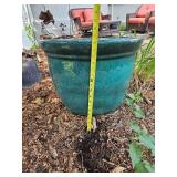 Aqua Green Large Ceramic Planter Pair