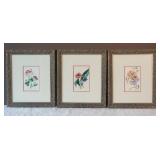 Vibrant Fine Art Botanical Set - (3)