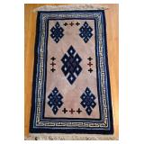 Pretty Fringed Area Rug