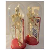 Pair of Vintage "The Bones Book" & Skeleton Sets