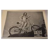 Fabulous 100 Years of Bicycle Posters Book