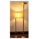 Pair of Versatile Floor Lamps
