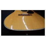 GUITARS