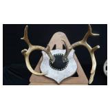 DEER HORN MOUNTS
