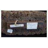 VINTAGE QUAM CORK DECOY