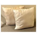 Two Pretty Accent Pillows