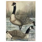 Original Framed Watercolor by Sheila Jacobs