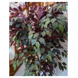 Potted Faux Ficus Tree