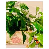 Wonderful Collection of Faux Plants and Flowers